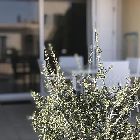 Kissonerga Holiday Flat Appartement *